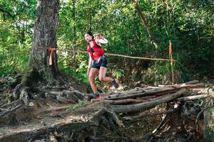 BIB: 
                            <button type="button" onclick="openModal(27550510)" class="btn btn-primary btn-sm float-right btn-popup" data-toggle="modal" data-target=".modal-high-quality">
                        <i class="fas fa-shopping-cart"></i> Add to Cart
                    </button>
                                            <button type="button" onclick="isThisMe(27550510, true)" class="btn btn-success btn-sm float-right btn-popup btn-isme hidden" data-toggle="tooltip" data-placement="bottom" title="นี่คือรูปของคุณใช่ไหม คลิกที่นี่เพื่อเอาเข้าอัลบั้ม">
                        <i class="fas fa-plus"></i> Add to album
                    </button>
                    <button type="button" onclick="isThisMe(27550510, false)" class="btn btn-warning btn-sm float-right btn-popup btn-isnotme hidden">
                        <i class="fas fa-ban"></i> Remove from album
                    </button>